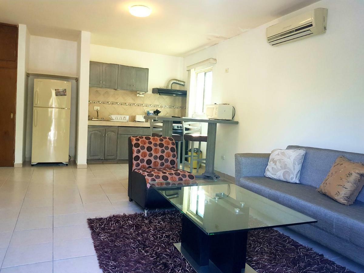 Contry La Silla Apartments Zona Tec - Nuevo Sur Monterrey Eksteriør billede
